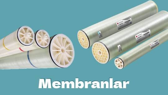 Membranlar