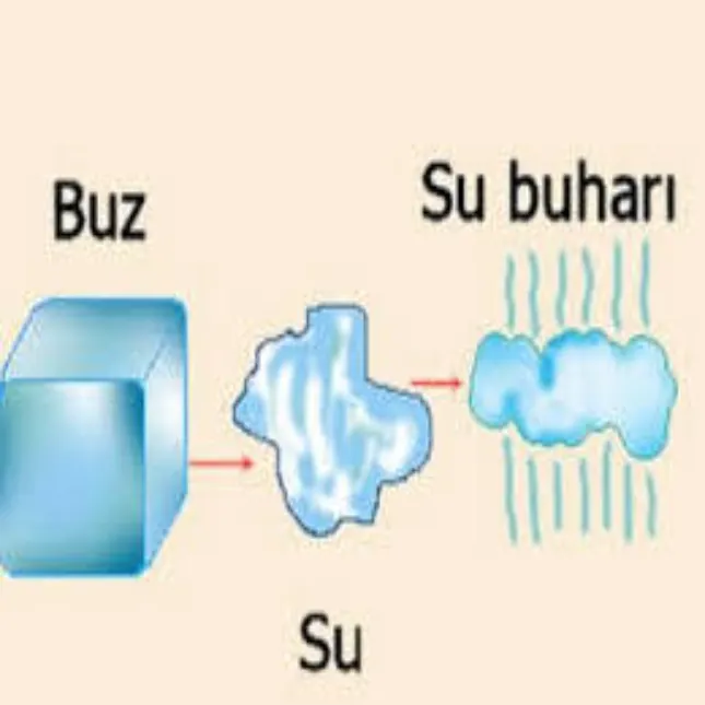 Su (Katı Sıvı Gaz) 