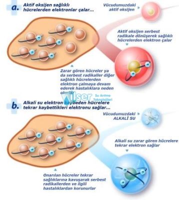 Biocera Antioksidan Alkali Su Sürahisi (2 kartuş içinde)