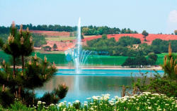 Bilecik'te Su Arıtma Cihazı Montajı - 4