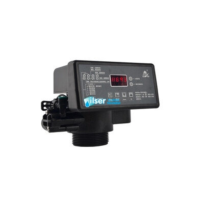 Runxin F116Q3 Volumetrik Yumuşatma Valfi - 3