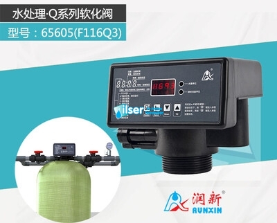 Runxin F116Q3 Volumetrik Yumuşatma Valfi - 2