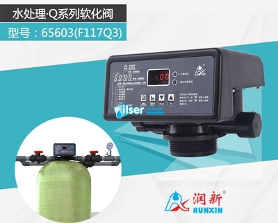 Runxin F117Q3 Volumetrik Yumuşatma Valfi - 4