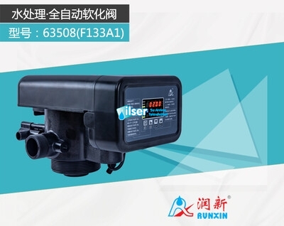 Runxin F133A3 Volumetrik Yumuşatma Valfi - 3