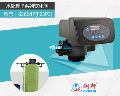 Runxin F63P3 Volumetrik Yumuşatma Valfi - 4