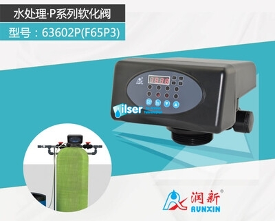 Runxin F65P3 Volumetrik Yumuşatma Valfi - 4