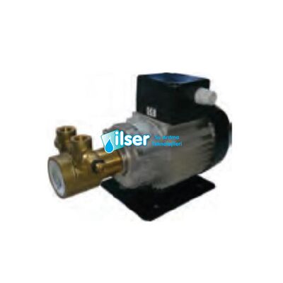 İtalyan Rotoflow 1000 L/H Bypasslı Bronz Rotoflow Pompa