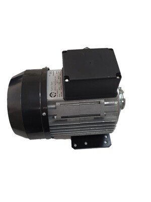 İtalyan Rotoflow 1000 L/H Bypasslı Bronz Rotoflow Pompa - 2