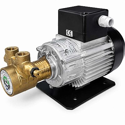 İtalyan Rotoflow 400 L/H Bypasslı Bronz Rotoflow Pompa - 3