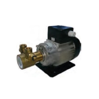 - İtalyan Rotoflow 600 L/H Bypasslı Bronz Rotoflow Pompa  - İtalyan Rotoflow 600 L/H Bypasslı Bronz Rotoflow Pompa