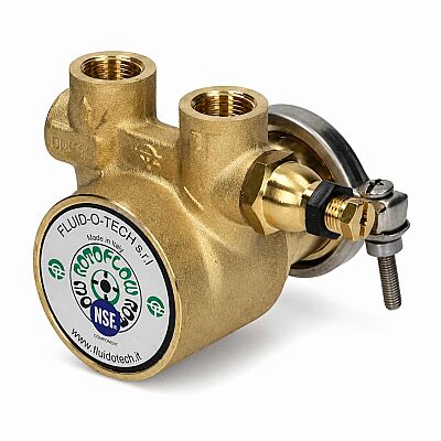 İtalyan Rotoflow 800 L/H Bypasslı Bronz Rotoflow Pompa - 1