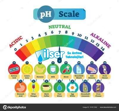 Sutest Ph Arttırıcı Solüsyon(1 Litre)