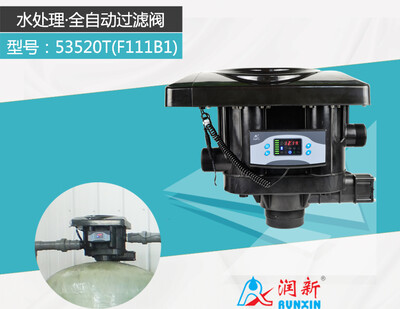 Runxin F-900 F111B1 Tam Otomatik Kum Filtre Sistemi - 6
