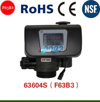 Runxin F63B3-F70A Timer/Volümetrik Yumuşatma Valfi - 5