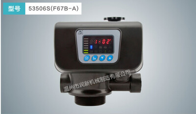 Runxin F-60 F67B1 Tam Otomatik Kum Filtre Sistemi - 5